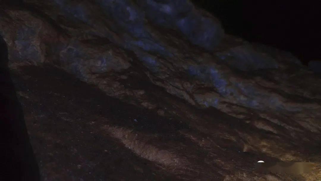大丛林度假村逃生