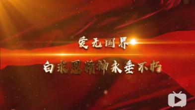 泡沫森林