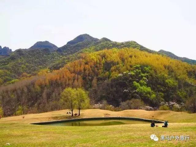 崂山交警发布雨雪天气安全出行提示