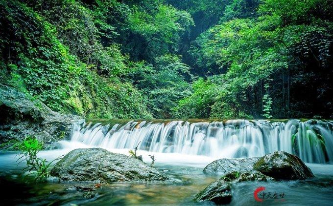 董明珠称不关心股价后格力电器涨超4% 白电企业今年如何增长？