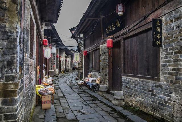 忍者鲨鱼